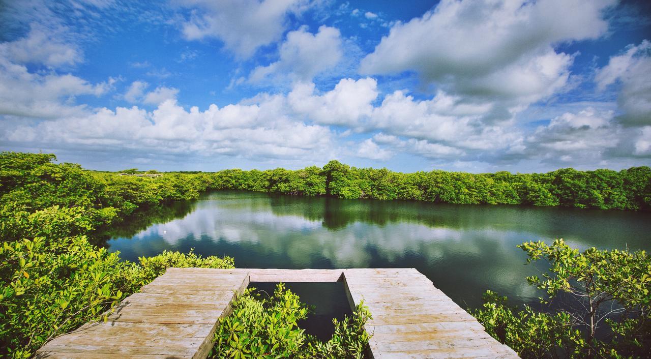 Nativus Glamping & Cenote Tulum Hotel Kültér fotó