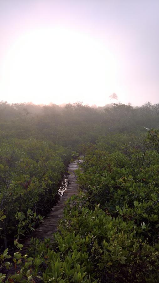 Nativus Glamping & Cenote Tulum Hotel Kültér fotó